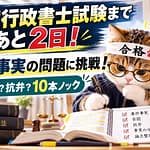 ねこちゃんも勉強がんばってる